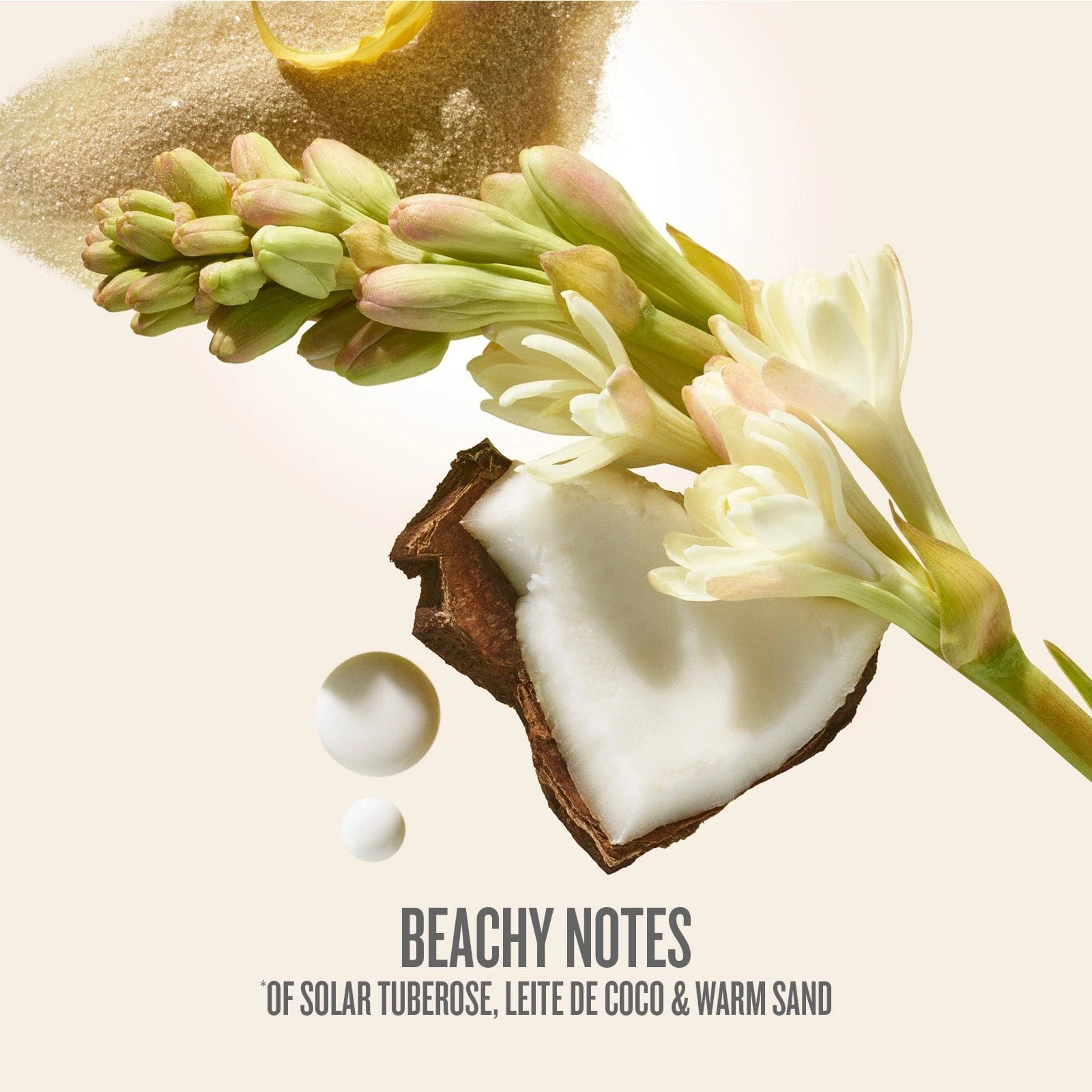 Rio Radiance? SPF 50 Body Oil | Seasonal Exclusive - Image 7