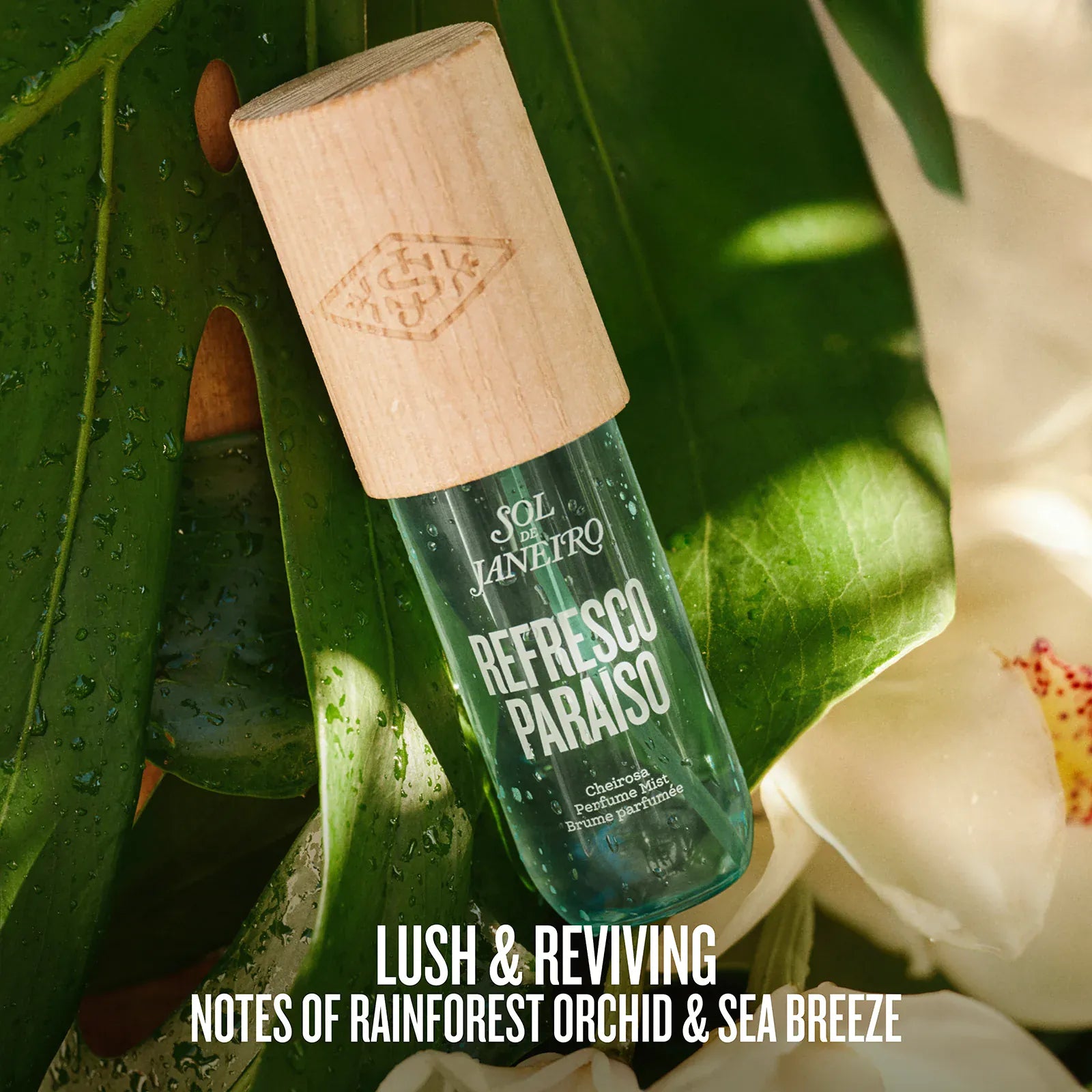 The Destination Drop | Limited Edition Perfume Mist - Image 3